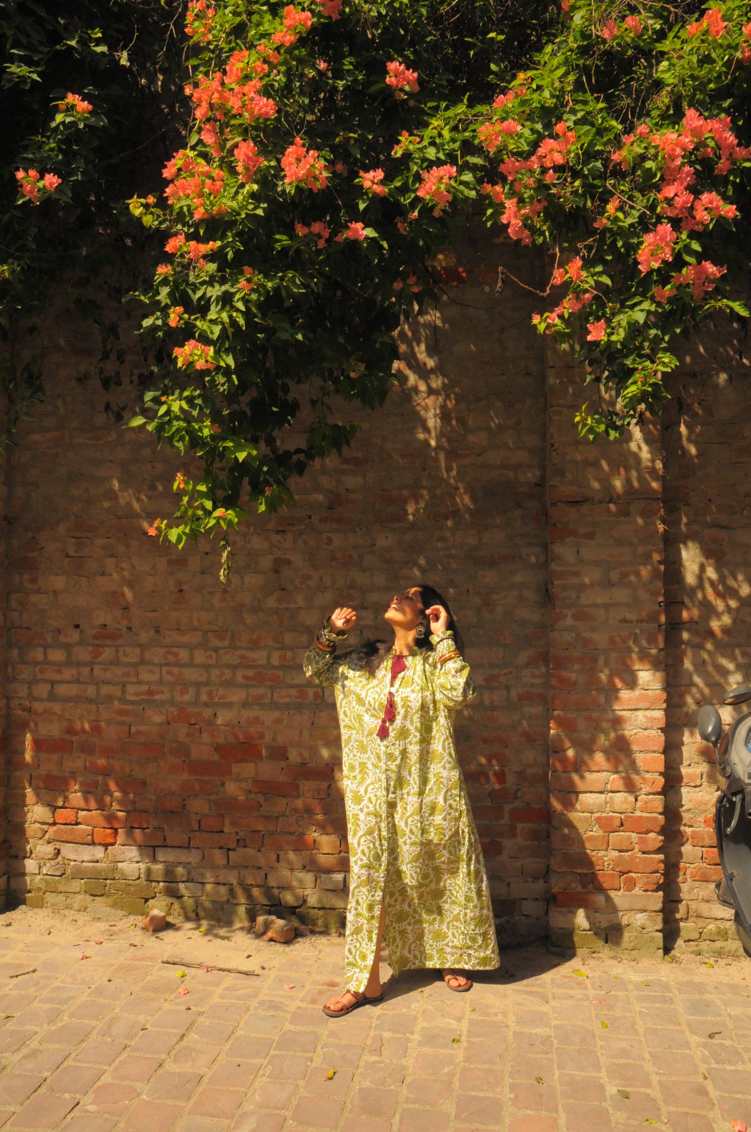 Peacock Palace Print With Burgandy Tassels